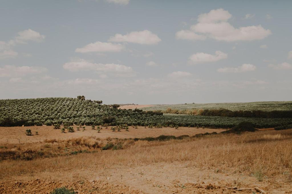 Monte Do Ramalho Villa Aviz Buitenkant foto